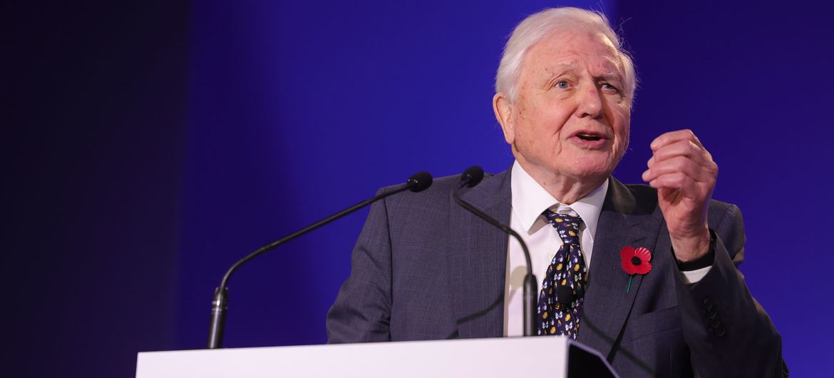 You are currently viewing Earth champion David Attenborough bestowed Lifetime Achievement award￼￼￼￼