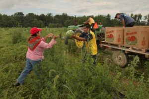 Read more about the article New Study Shows People of Color in U.S. Are More Likely to Be Harmed by Pesticides Due to Weak Regulations, Lax Enforcement
