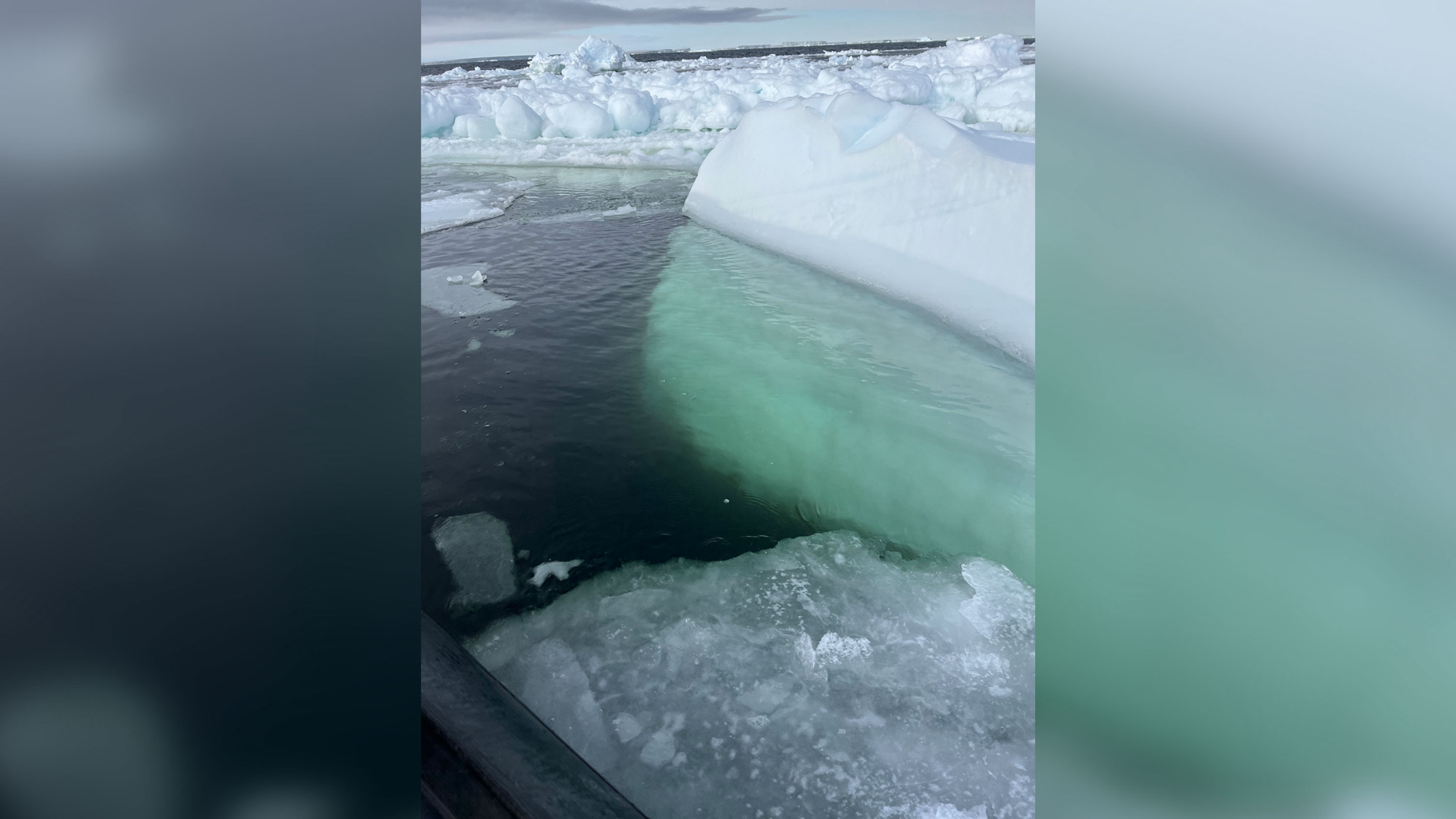 You are currently viewing Antarctica’s majestic underwater world is trying to adapt to a warmer planet