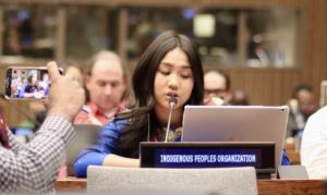 Read more about the article Indigenous Peoples Re-Energize Negotiations for a Stronger Voice at the United Nations
