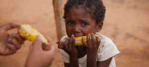 Read more about the article Better prevention and targeting of root causes needed to combat food crises￼￼￼￼