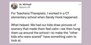 Read more about the article Therapist shares simple idea that helped traumatized kids feel calmer after Sandy Hook