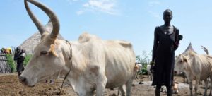 Read more about the article FAO ramps up support to Sudan farmers as starvation threat grows in East Africa ￼￼￼￼