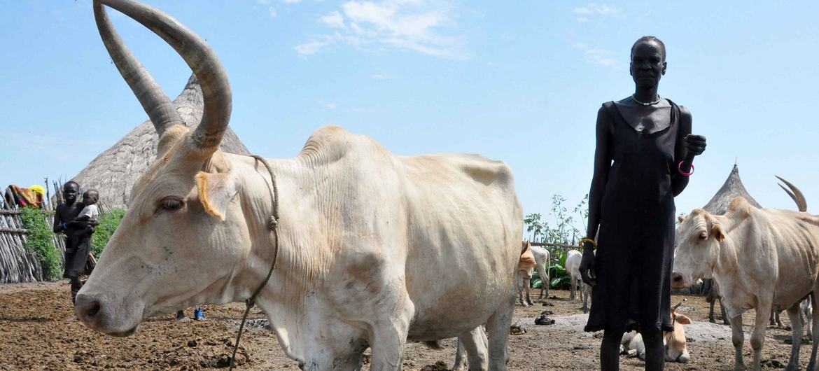 You are currently viewing FAO ramps up support to Sudan farmers as starvation threat grows in East Africa ￼￼￼￼