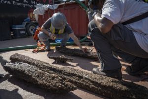 Read more about the article Alabama shipwreck holds key for kin of enslaved Africans￼