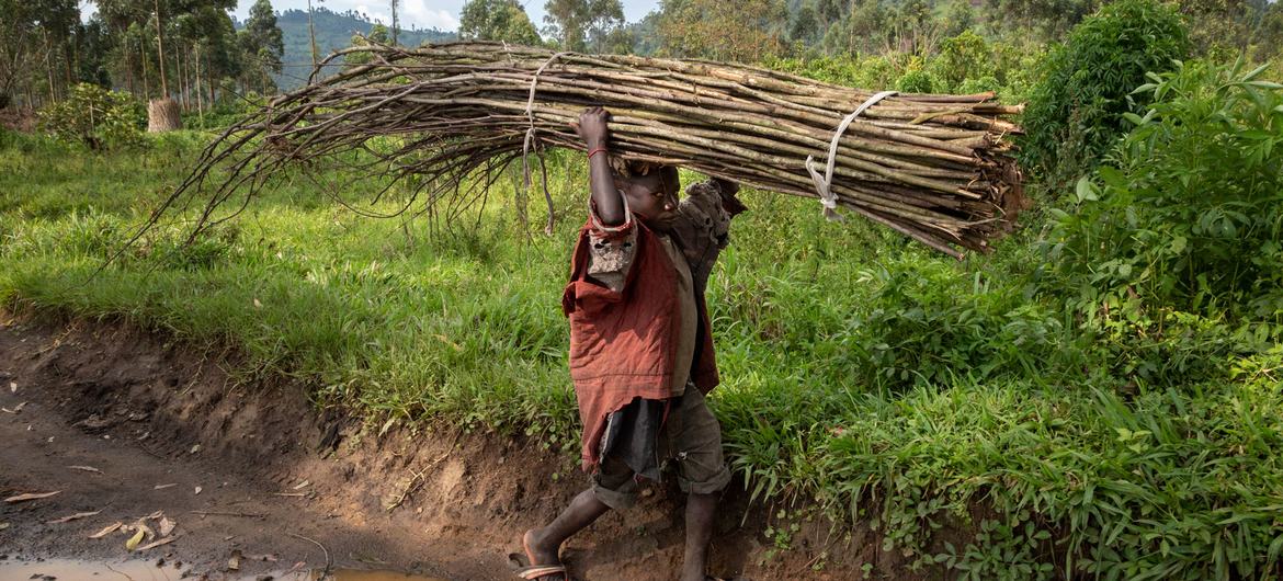 You are currently viewing ‘We cannot rest’ until child labour is eliminated, ILO chief tells UN conference￼￼￼￼