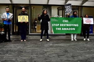 Read more about the article Citi: Still Financing Indigenous Rights Violations & Biodiversity Loss in the Amazon