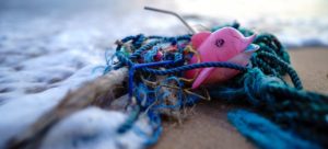 Read more about the article Tackling marine pollution: Individual action, key to ocean restoration￼￼￼￼