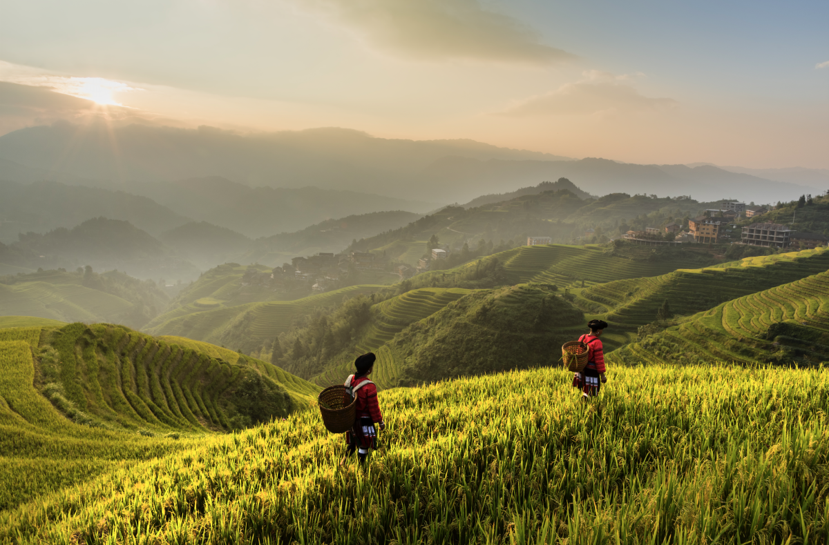 You are currently viewing Less air pollution leads to higher crop yields, Stanford-led study shows