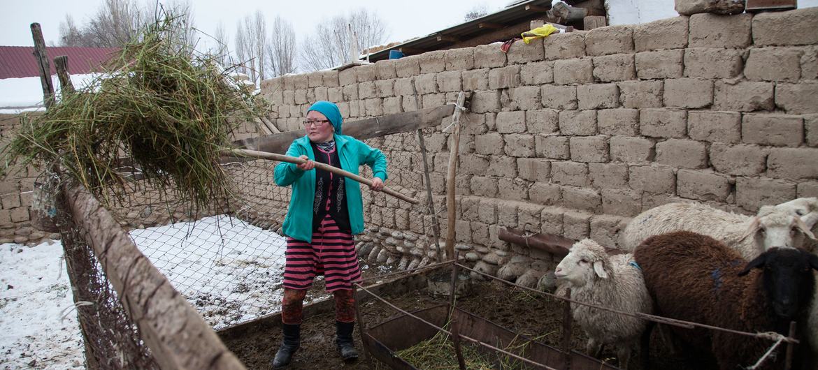 You are currently viewing All rural workers deserve social protection coverage: New ILO report￼￼￼￼