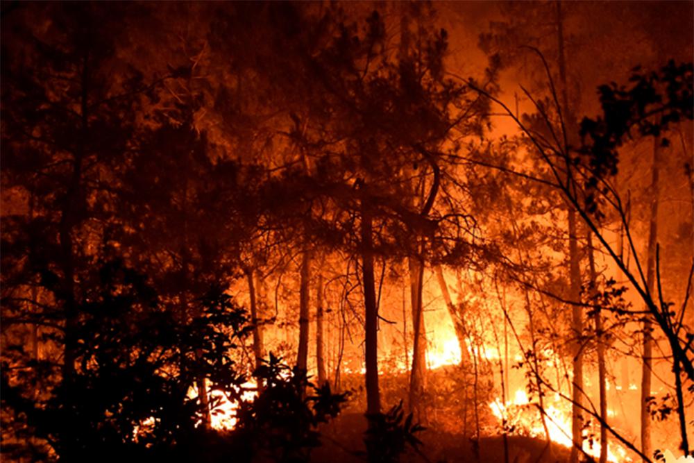 You are currently viewing 900 firefighters battle massive fire in southeast France￼