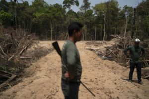 Read more about the article Report: Brazil authorities pay no mind to deforestation