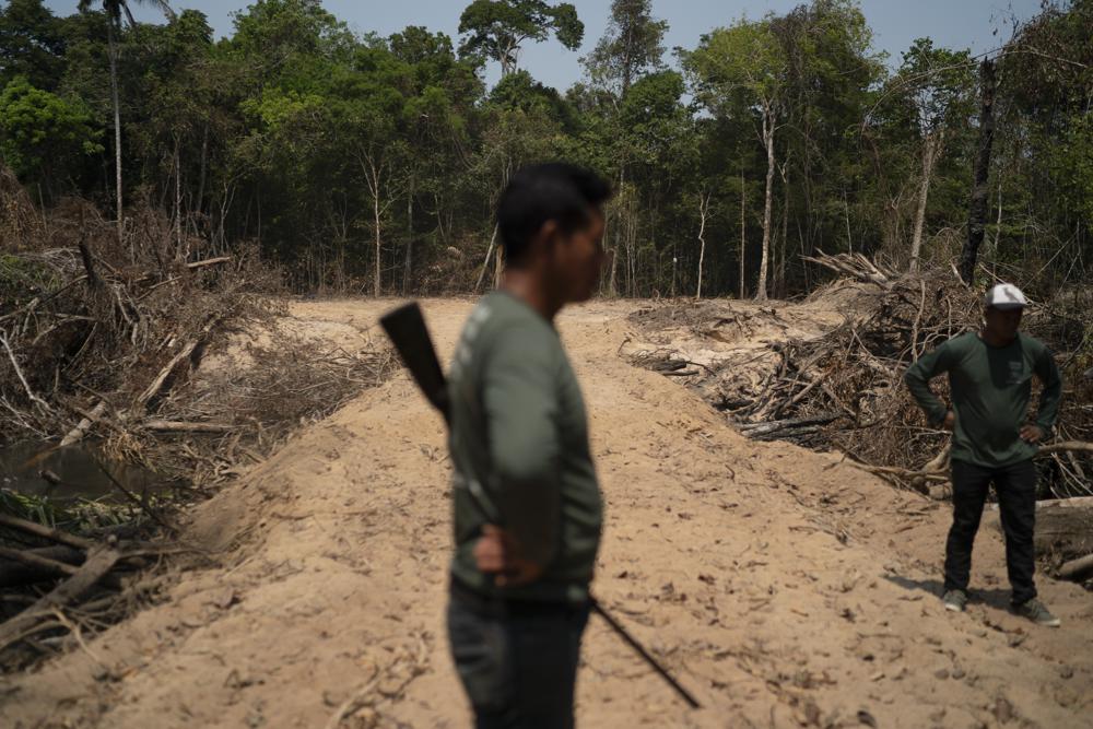 You are currently viewing Report: Brazil authorities pay no mind to deforestation