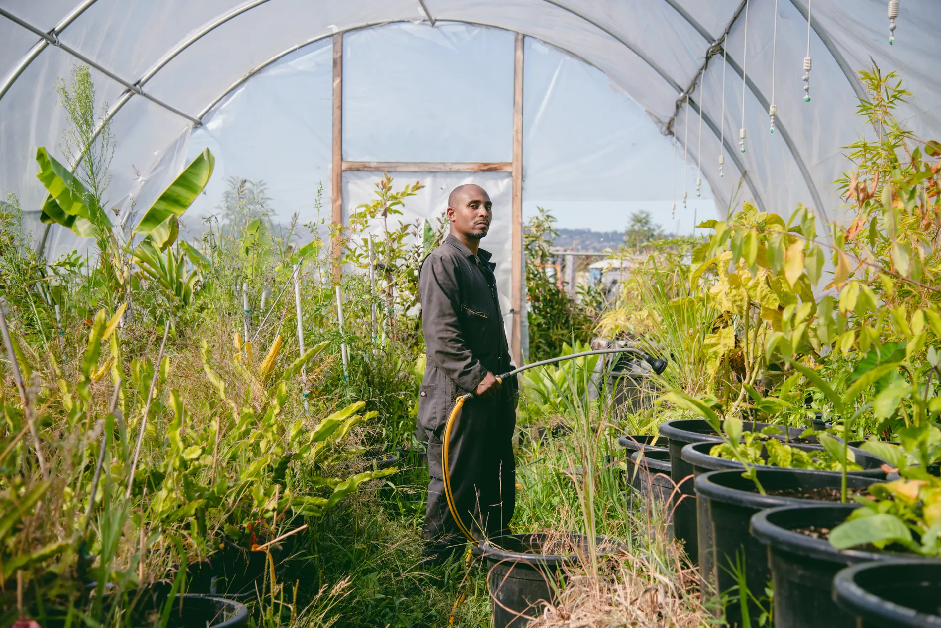 Read more about the article The urban garden transforming lives after prison: ‘I’m finally free’