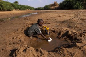 Read more about the article UNICEF: Drought in parts of Africa puts children “one disease away from catastrophe”
