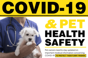 Read more about the article COVID-19 and Pet Health Safety (with Infographic)￼
