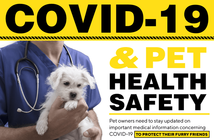 You are currently viewing COVID-19 and Pet Health Safety (with Infographic)￼