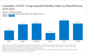 Read more about the article COVID-19 Cases and Deaths by Race/Ethnicity: Current Data and Changes Over Time