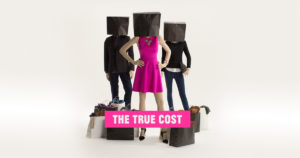 Read more about the article The true Cost (2015)