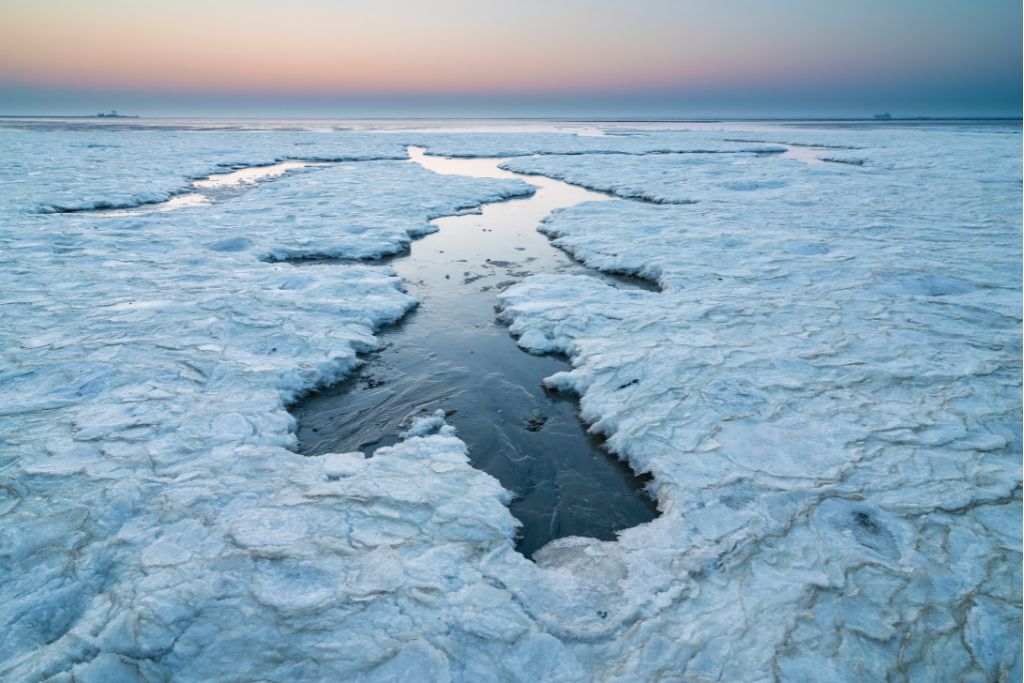 You are currently viewing Arctic Warming Four Times Faster than Rest of the World: Study