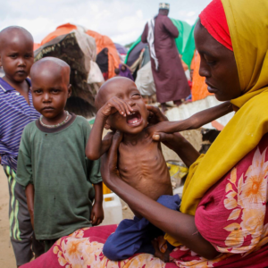 Read more about the article Somalia is on the verge of famine while the world looks away 