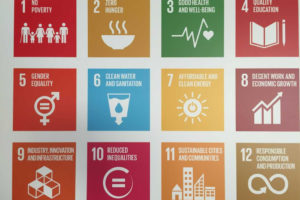 Read more about the article SDG Ambition Accelerator to Help Companies Usher Transformative Change | News | SDG Knowledge Hub | IISD