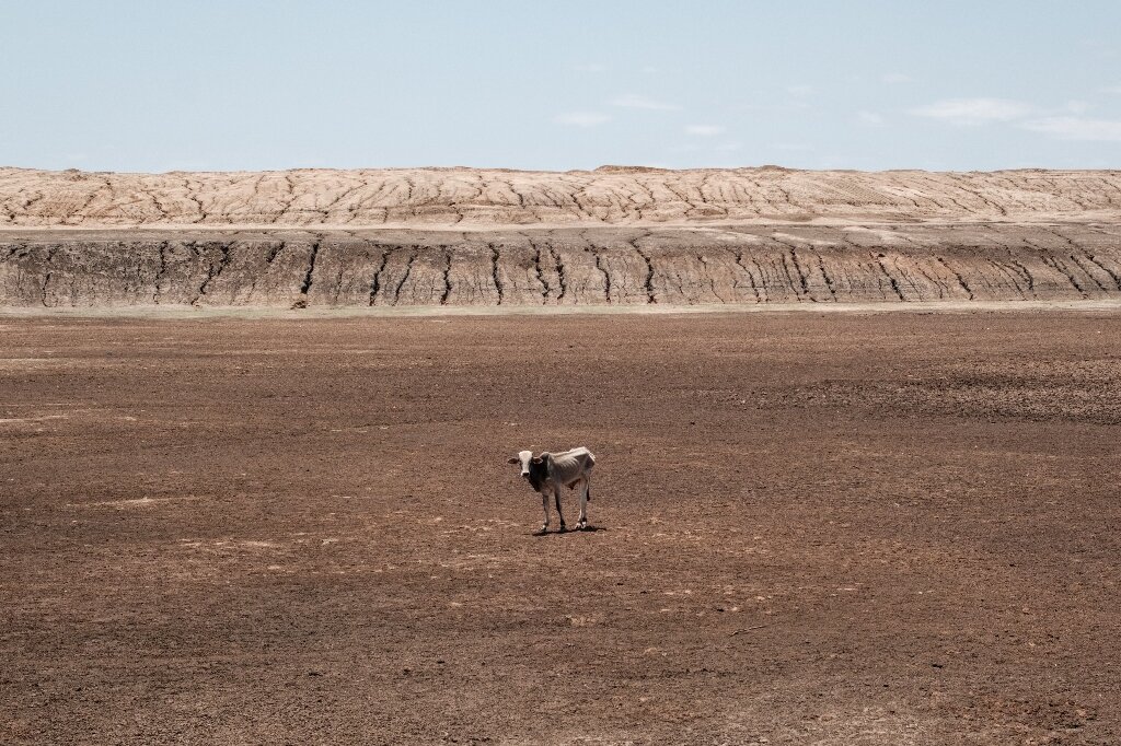 You are currently viewing African countries to stand by 1.5C target at climate talks talks