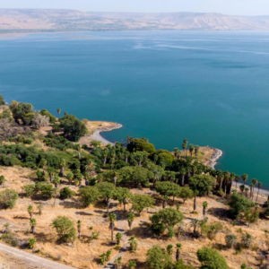 Read more about the article This Beautiful Sea of Galilee Beach Will Soon Disappear