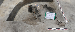 Read more about the article Ancient Burial Ground of Elites in Ukraine Reveals Brief History of Europe