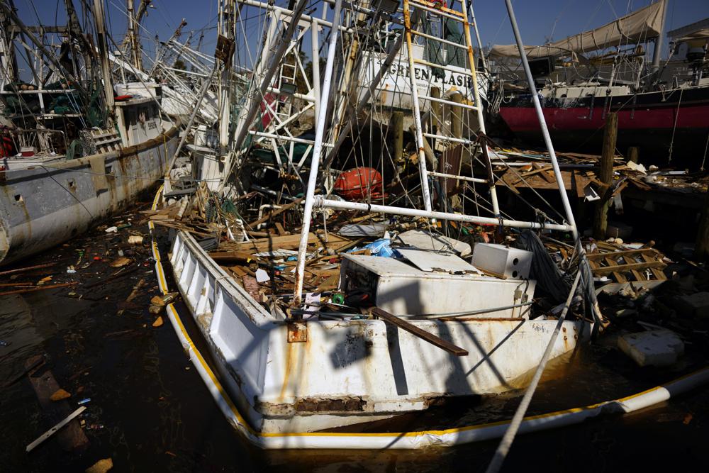 You are currently viewing Florida shrimpers race to get battered fleet back to sea