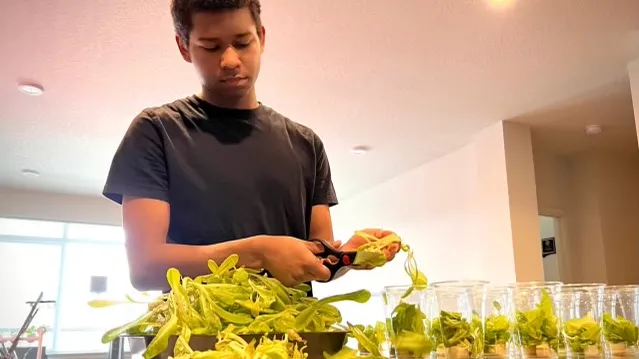 You are currently viewing BIPOC Youth Are Gardening to Feed Their Communities