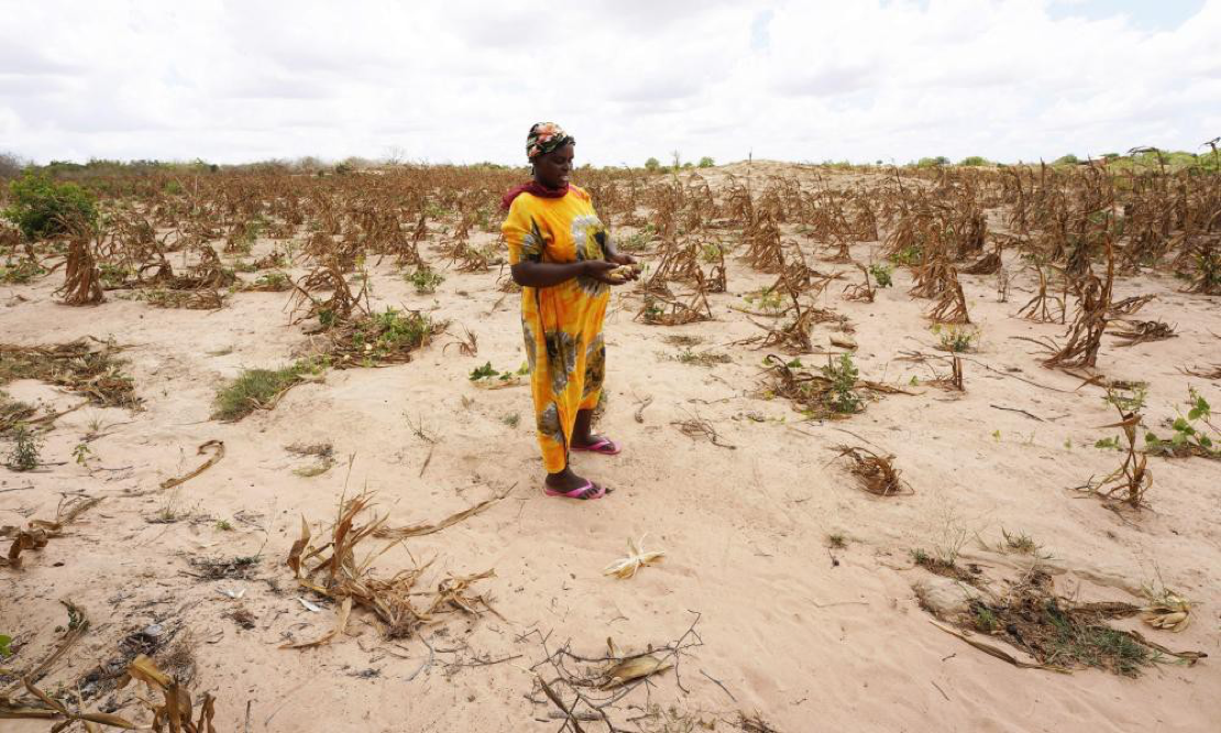 You are currently viewing Africa is being devastated by a climate crisis it didn’t cause. Cop27 must help