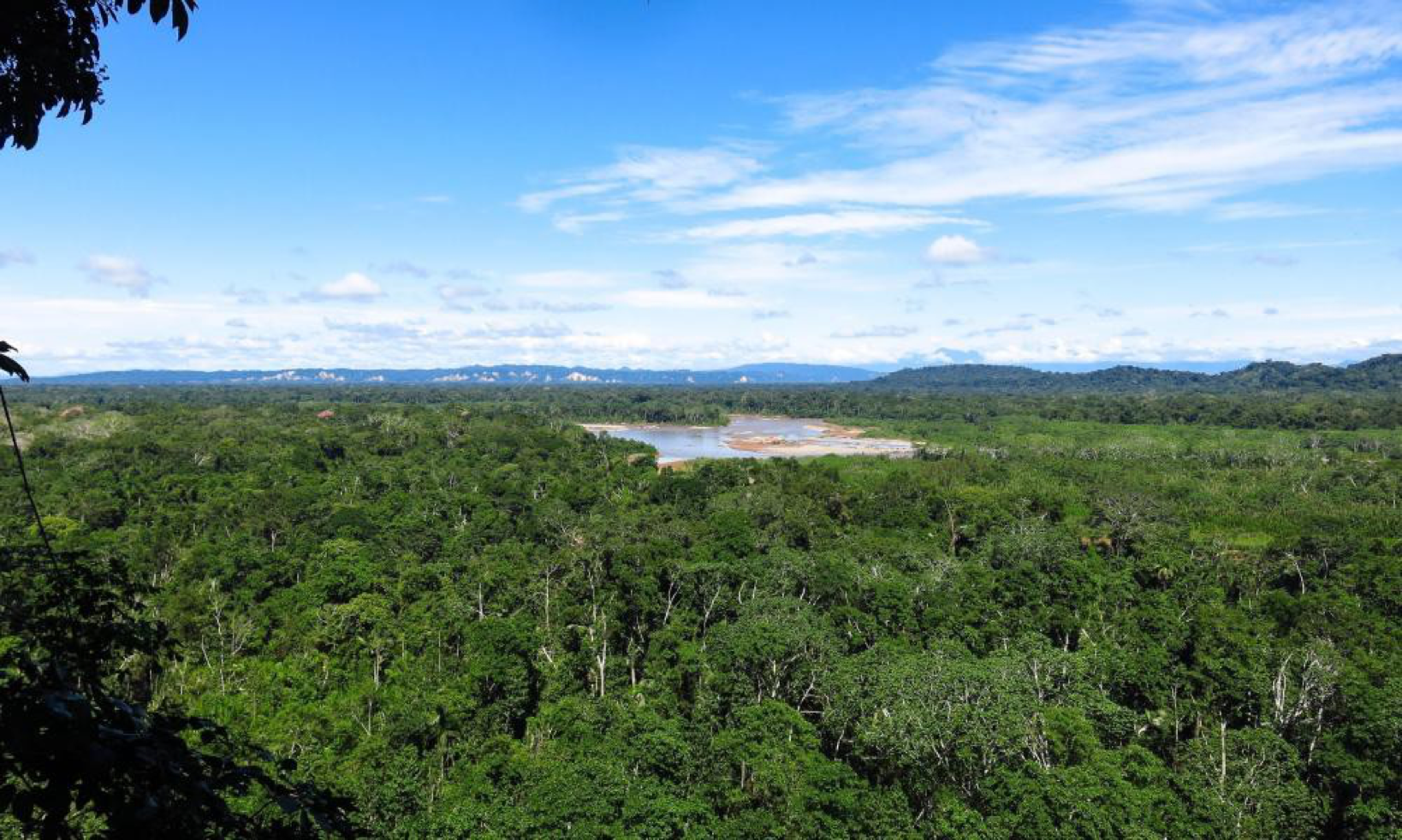 You are currently viewing <strong>Unchecked deforestation destroying evidence of lost Amazon civilisation</strong>