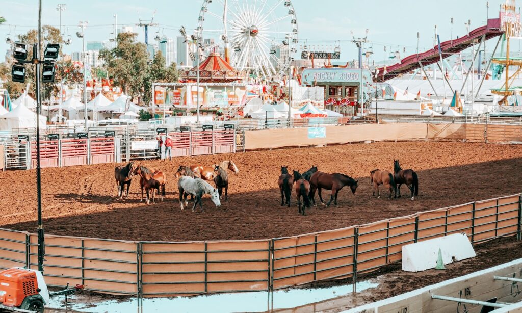 You are currently viewing Why don’t Indigenous people have any role in hosting the State Fair’s annual All Indian Rodeo?