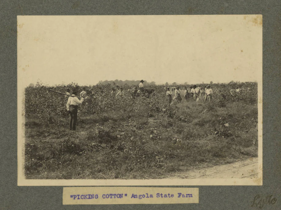 You are currently viewing La. voters keep ‘slavery’ at Angola prison, once and still a plantation