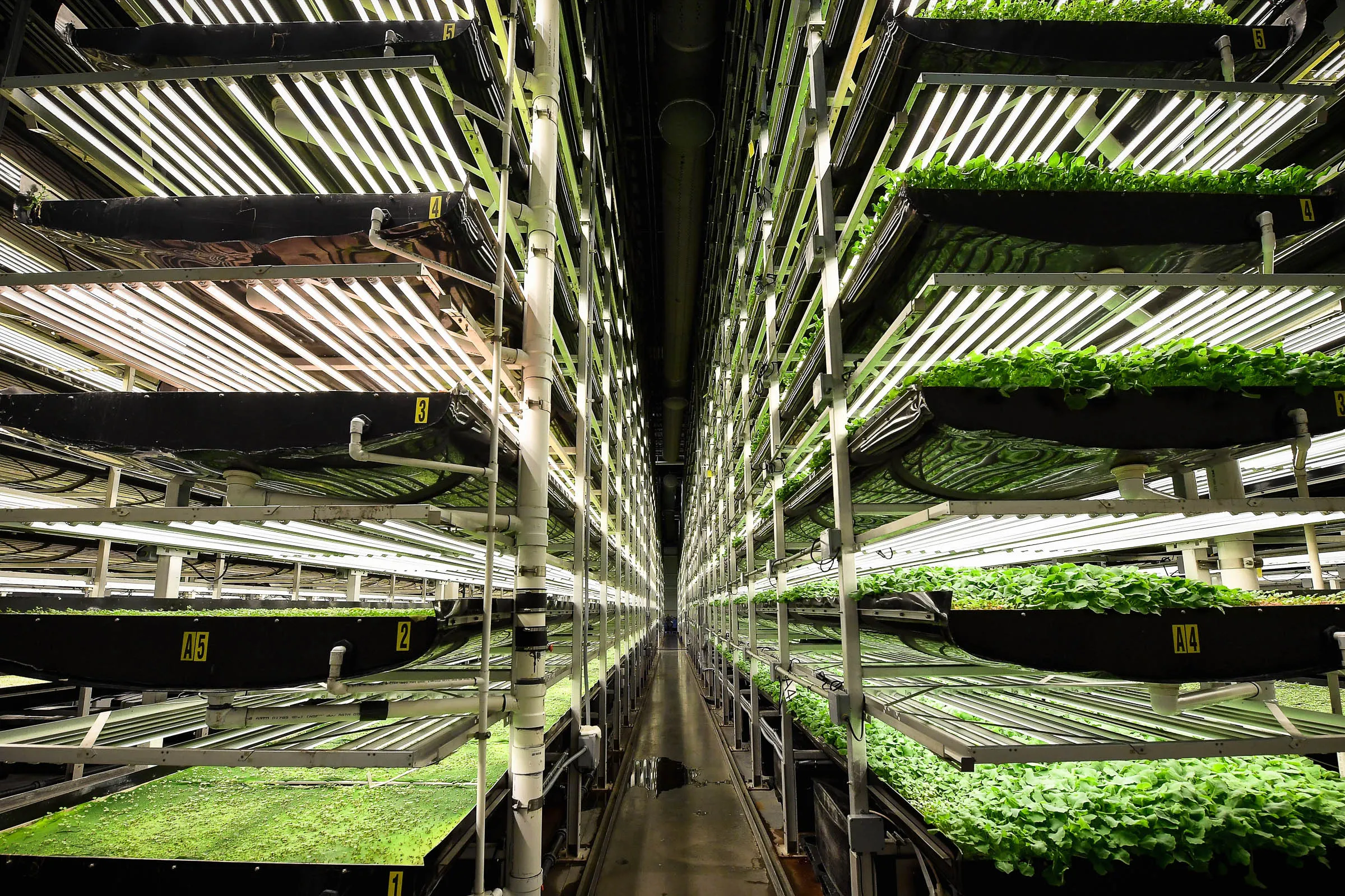 Read more about the article <strong>Vertical Farming Has Found Its Fatal Flaw</strong>