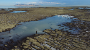 Read more about the article Great Salt Lake will disappear in 5 years without massive ’emergency rescue,’ scientists say