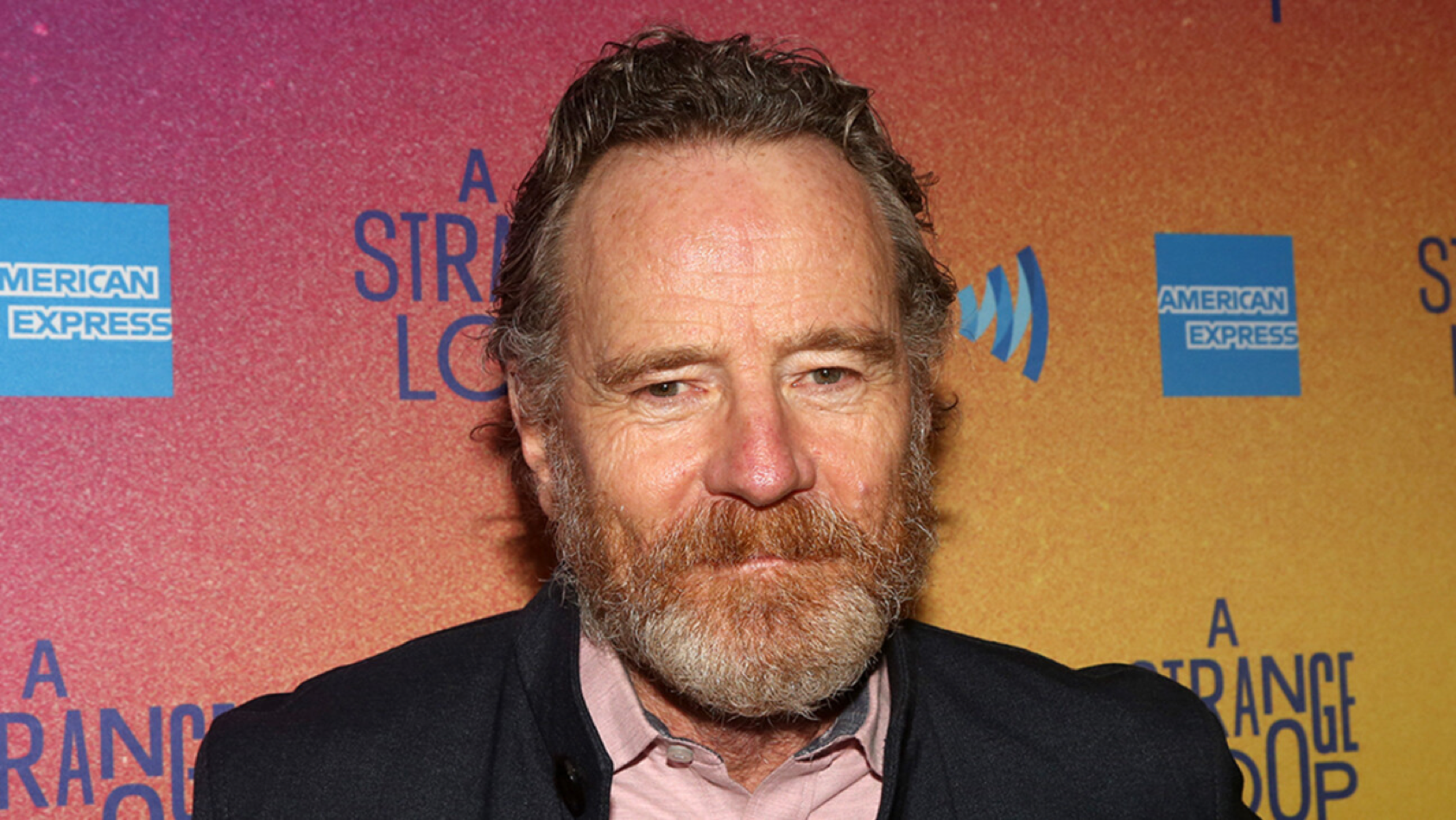 You are currently viewing <strong>Bryan Cranston Reiterates Stance on Teaching Critical Race Theory After Debate With Bill Maher: “I Think It’s Imperative”</strong>
