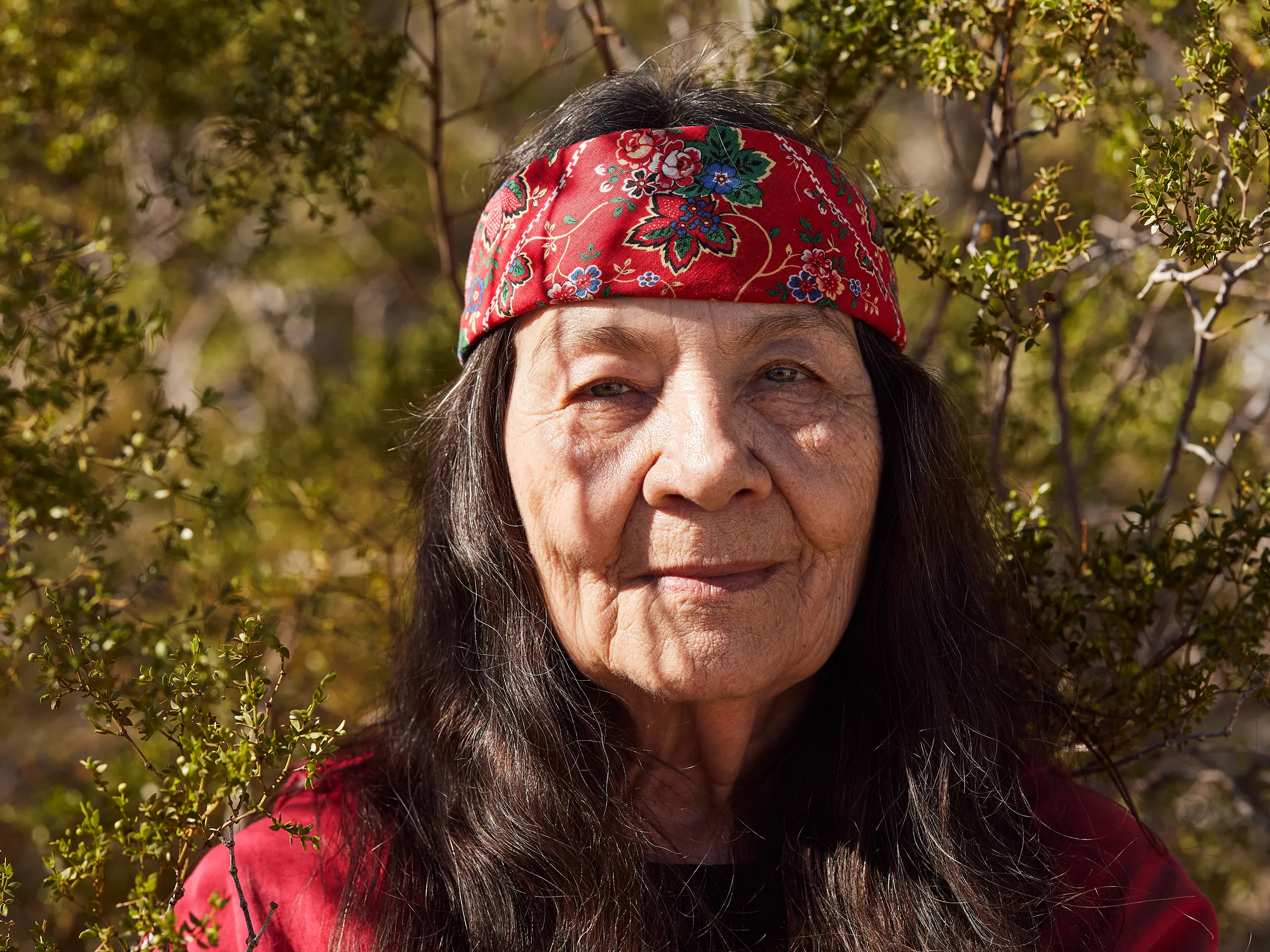 You are currently viewing Leslie Marmon Silko Saw It Coming