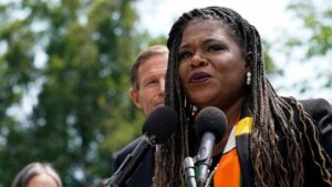 Read more about the article Rep. Cori Bush says $14 trillion reparations bill will ‘eliminate the racial wealth gap’