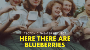 Read more about the article HERE THERE ARE BLUEBERRIES (2022)