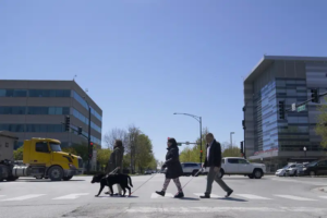 Read more about the article Listen both ways: Blind walkers winning safer road crossings