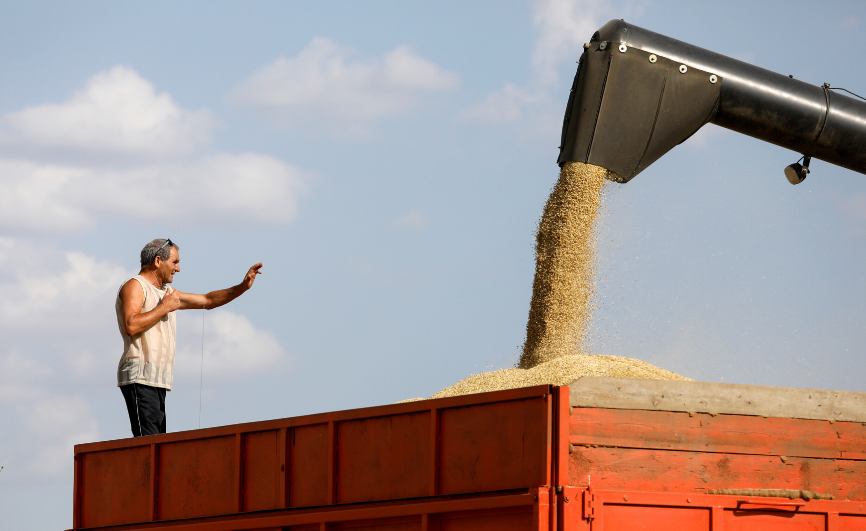 You are currently viewing UN focused on improving Russian exports ahead of grain deal deadline