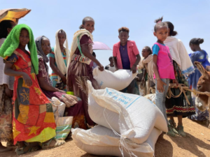 Read more about the article Food aid suspended in Ethiopia after ‘widespread and coordinated’ thievery