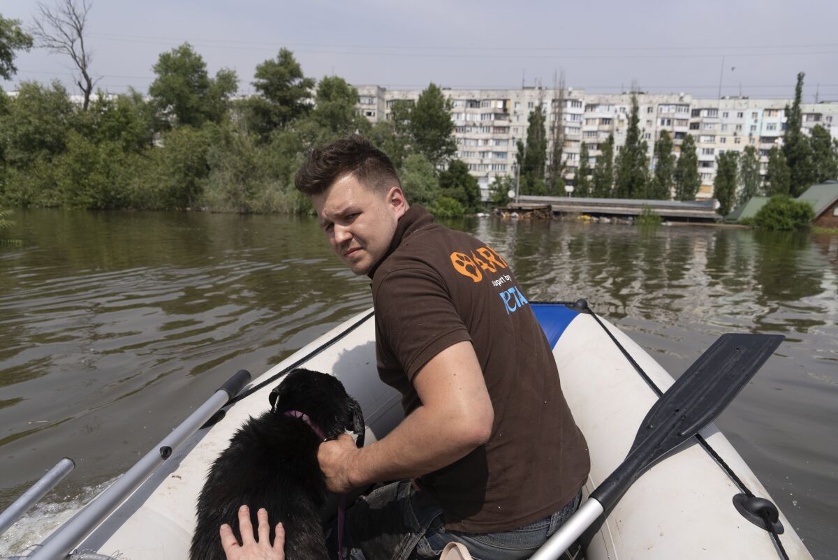 You are currently viewing ‘All life should be valued’: Volunteers rush to save animals after Ukraine dam collapse