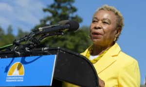Read more about the article Democrat Barbara Lee on reparations and righting history’s wrongs: ‘This is the moment to push forward’
