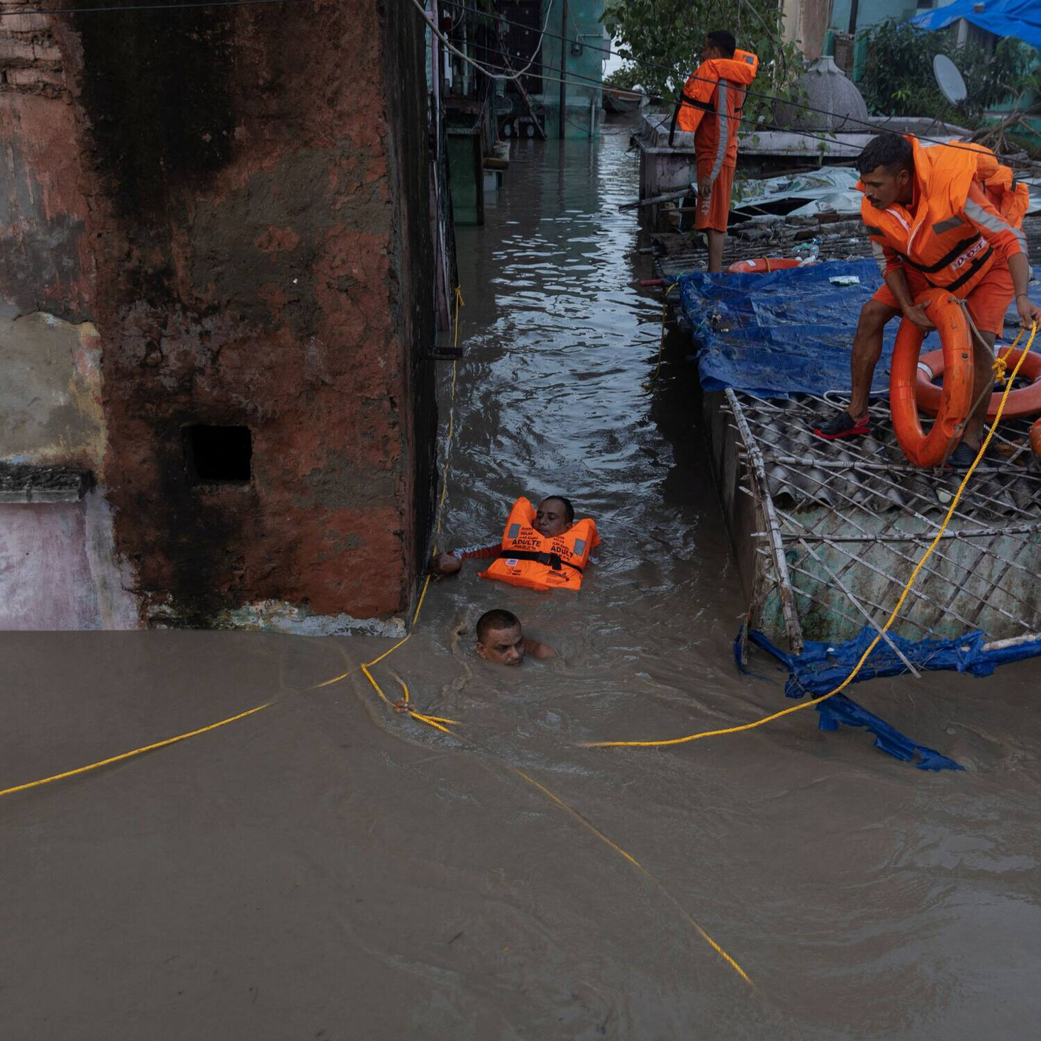 You are currently viewing Floods, fires and deadly heat are the alarm bells of a planet on the brink