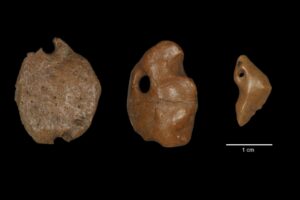 Read more about the article Pendants made from giant sloths suggest earlier arrival of people in the Americas
