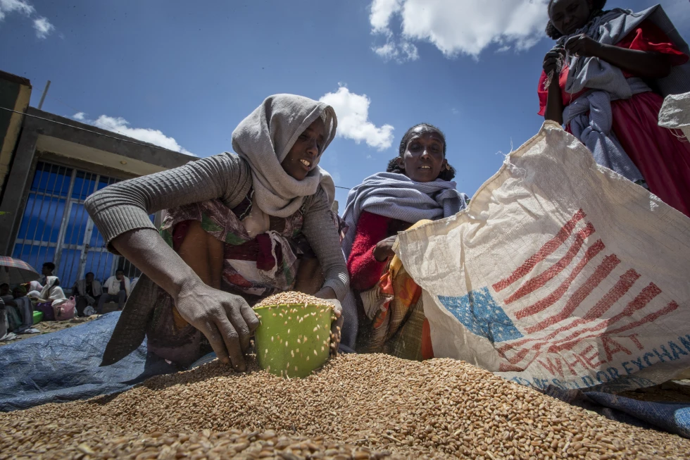 You are currently viewing The World Food Program slowly resumes food aid to Ethiopia after months of suspension and criticism