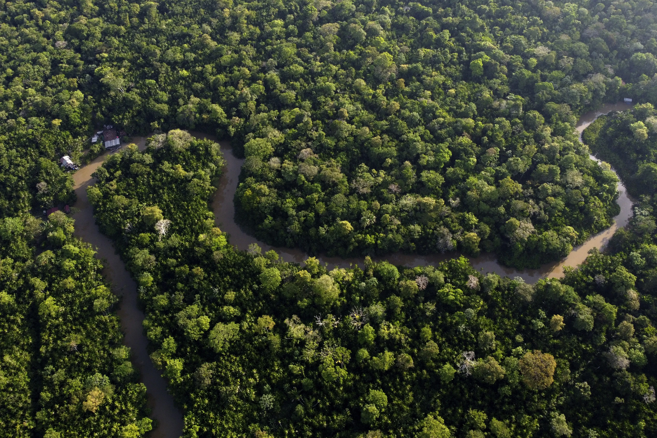 You are currently viewing Amazon nations seek common voice on climate change, urge developed world to help protect rainforest